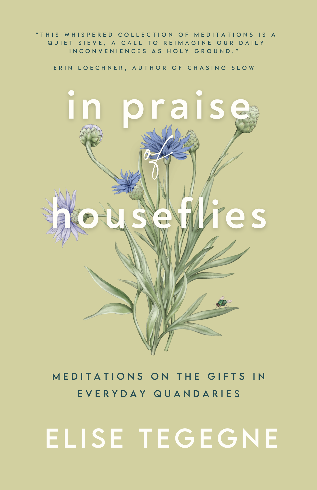 OnPraise of House Flies book